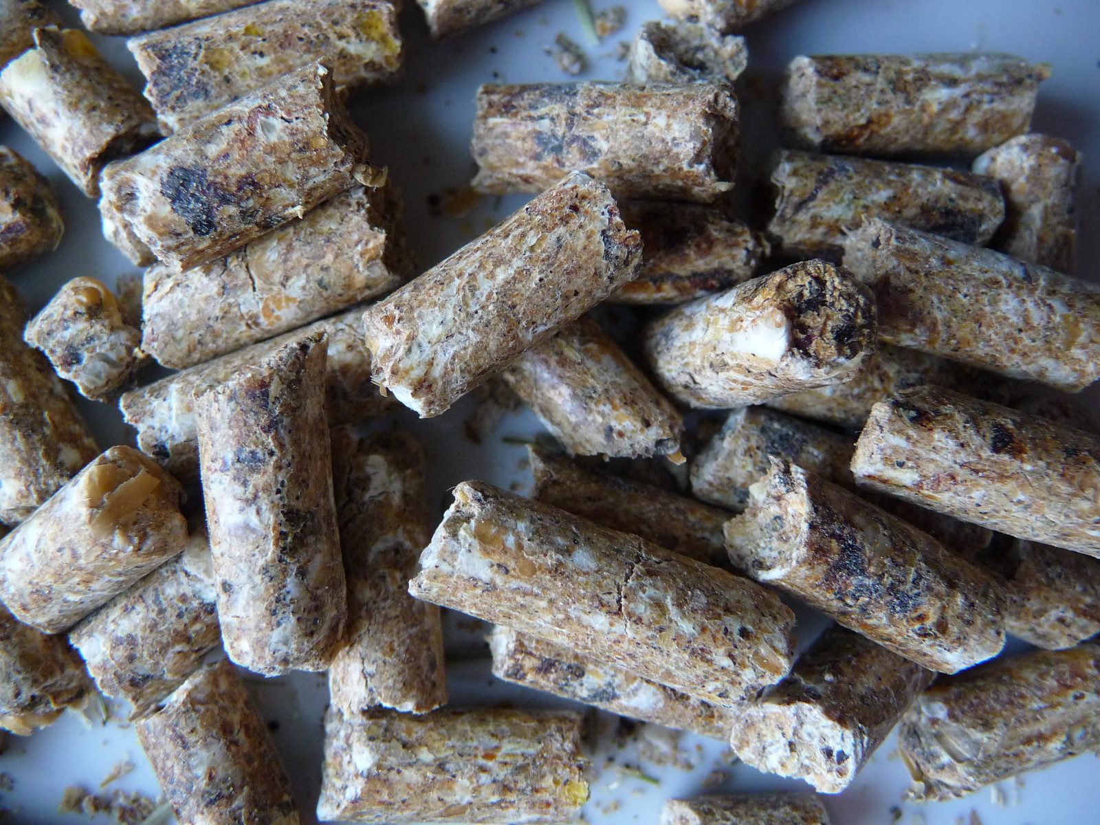 Pelleted compound feed for sheep and goats