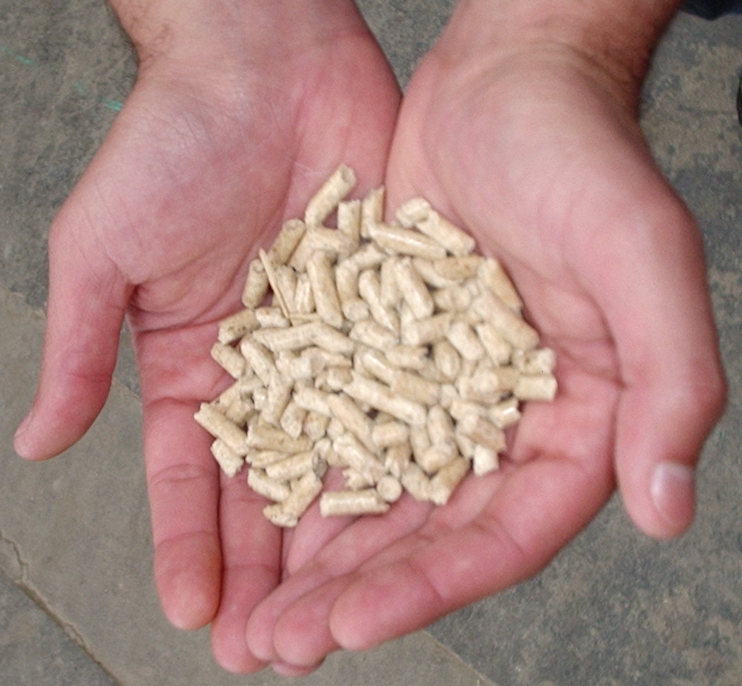 Biomass fuel pellets held in a hand for quality inspection